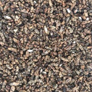 Green Cardamom Seed