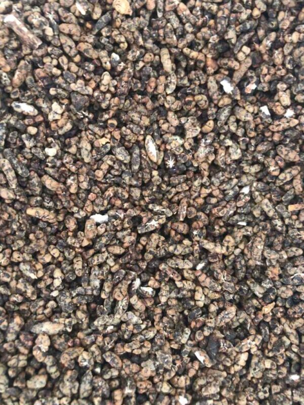 Green Cardamom Seed